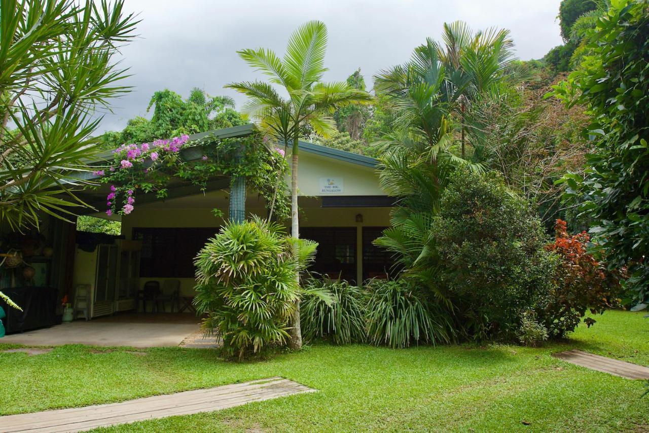 Thornton Beach Bungalows Daintree Cape Tribulation Ngoại thất bức ảnh