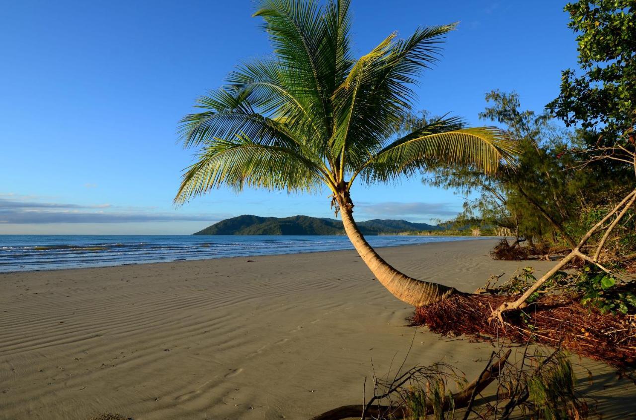 Thornton Beach Bungalows Daintree Cape Tribulation Ngoại thất bức ảnh