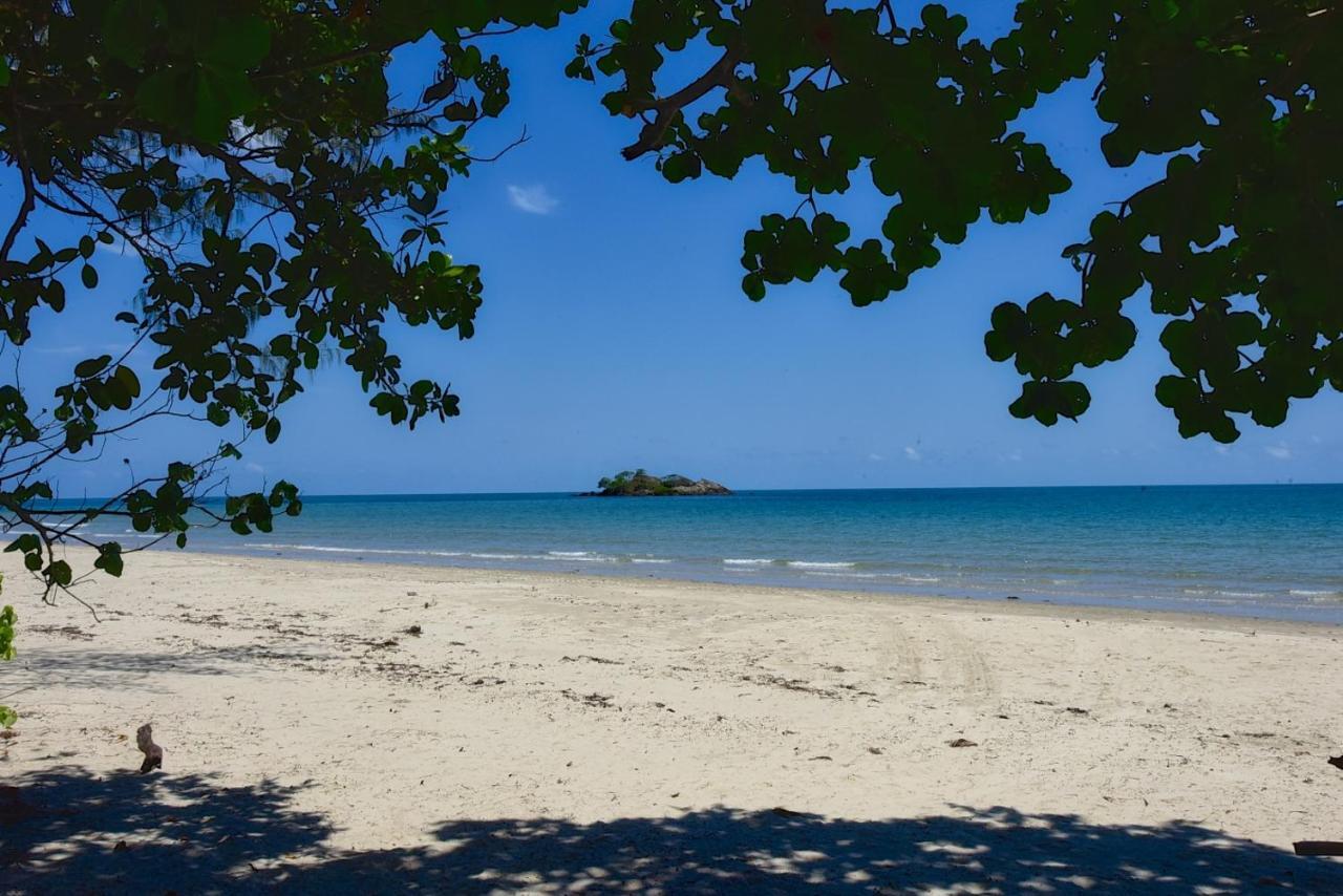 Thornton Beach Bungalows Daintree Cape Tribulation Ngoại thất bức ảnh